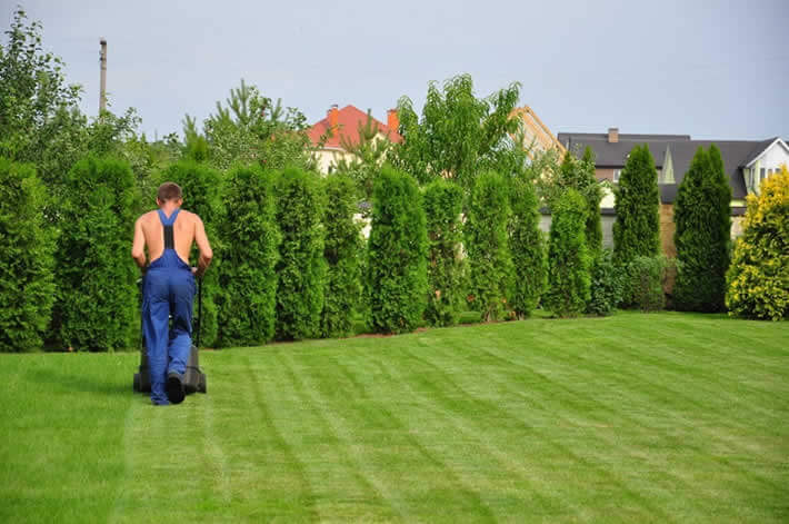 Finding the Right Professional Landscaping and Paving Services