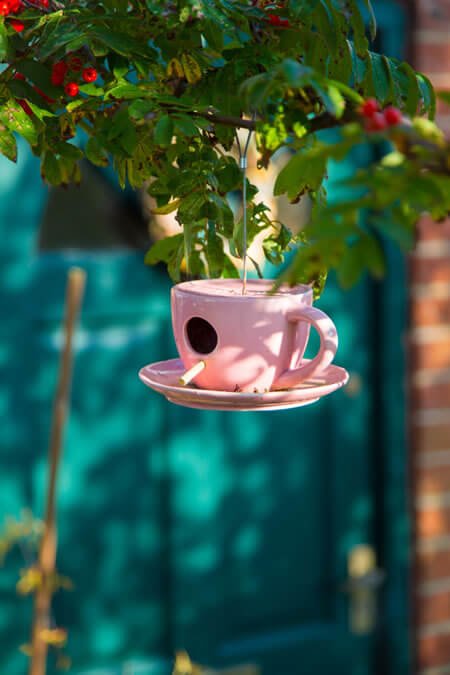 Transform Garden Exotic Escape