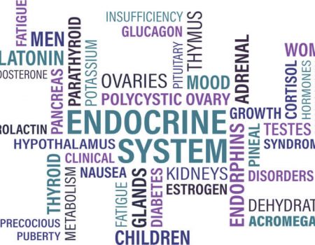 Thyroid Disease: Important Facts You Must Know