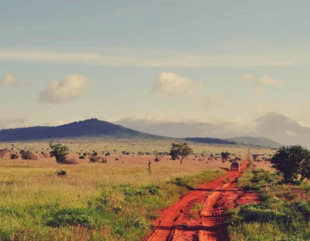 5 Safe Travel Tips for an Exciting Jungle Safari