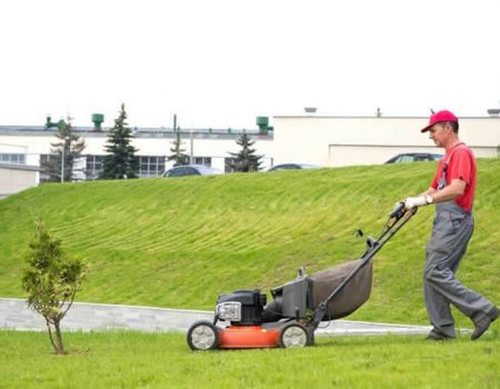 Finding the Right Professional Landscaping and Paving Services