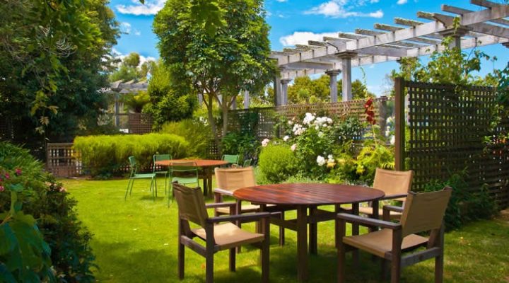 Why Garden Maintenance is Become Essential?