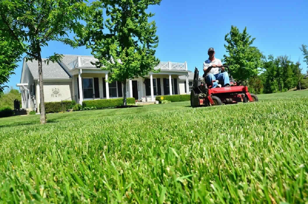 Top 8 Tips for Your Garden Maintenance