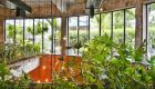 Top 8 Tips for Your Garden Maintenance