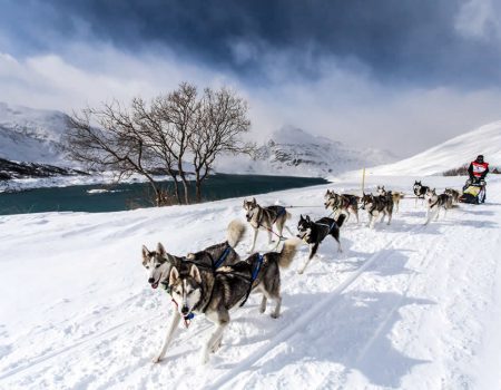 ALPINA is named as the Official Timekeeper for the 15th edition of La Grande Odyssée Savoie Mont Blanc