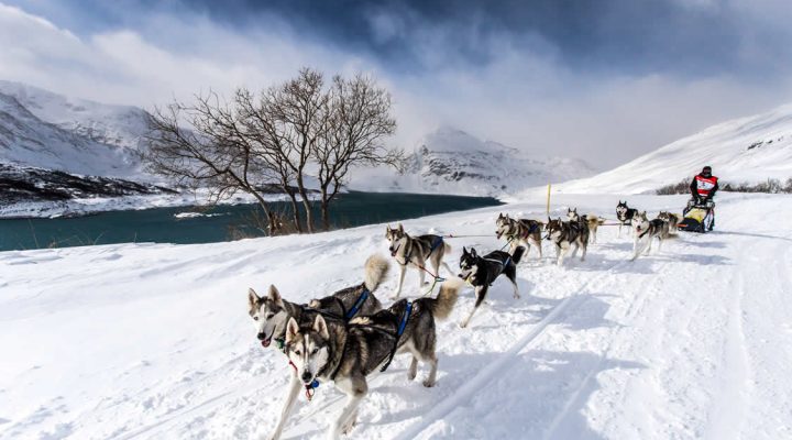 ALPINA is named as the Official Timekeeper for the 15th edition of La Grande Odyssée Savoie Mont Blanc