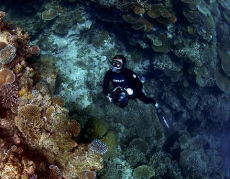 LEAF London Launches New Swimwear Line to Help Save the Ocean