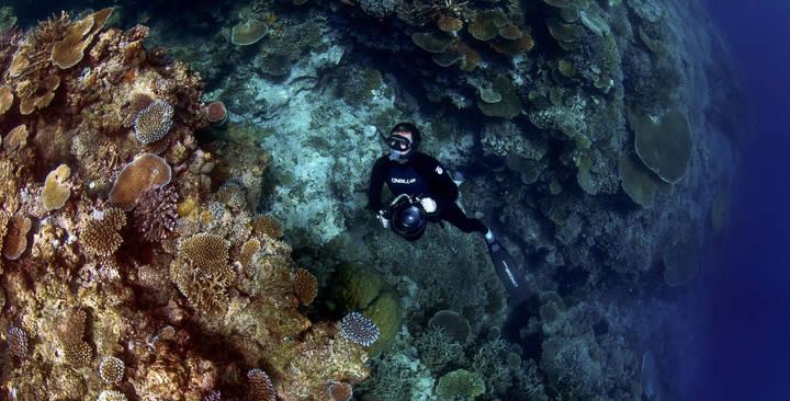 LEAF London Launches New Swimwear Line to Help Save the Ocean