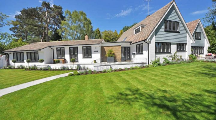 Top 4 Spring Home Improvement Projects