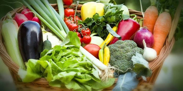 Healthy Lifestyle Tips