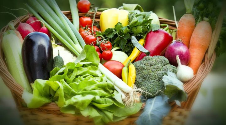 Healthy Lifestyle Tips