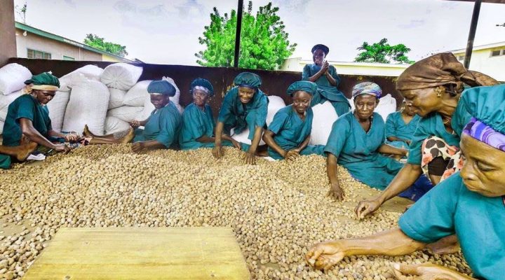 Luxury African Skincare Brand