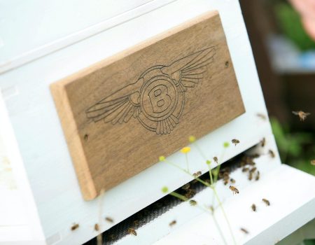 Bentley’s swarm of Flying Bees return from hibernation to start work on World Bee Day