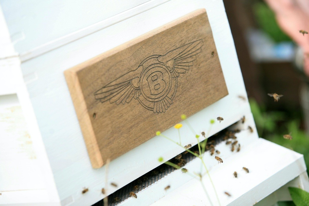 Bentley’s swarm of Flying Bees return from hibernation to start work on World Bee Day