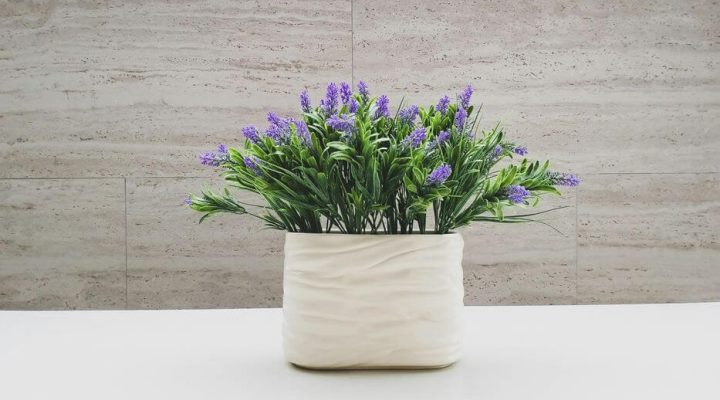 The Power of Limestone Restoration How to Transform Your Home