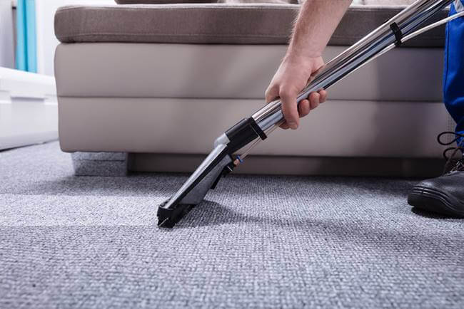 Professional Carpet Cleaning