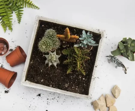 Regenerative Gardening