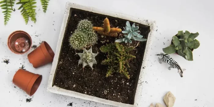 Regenerative Gardening