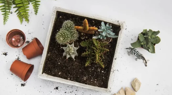 Regenerative Gardening